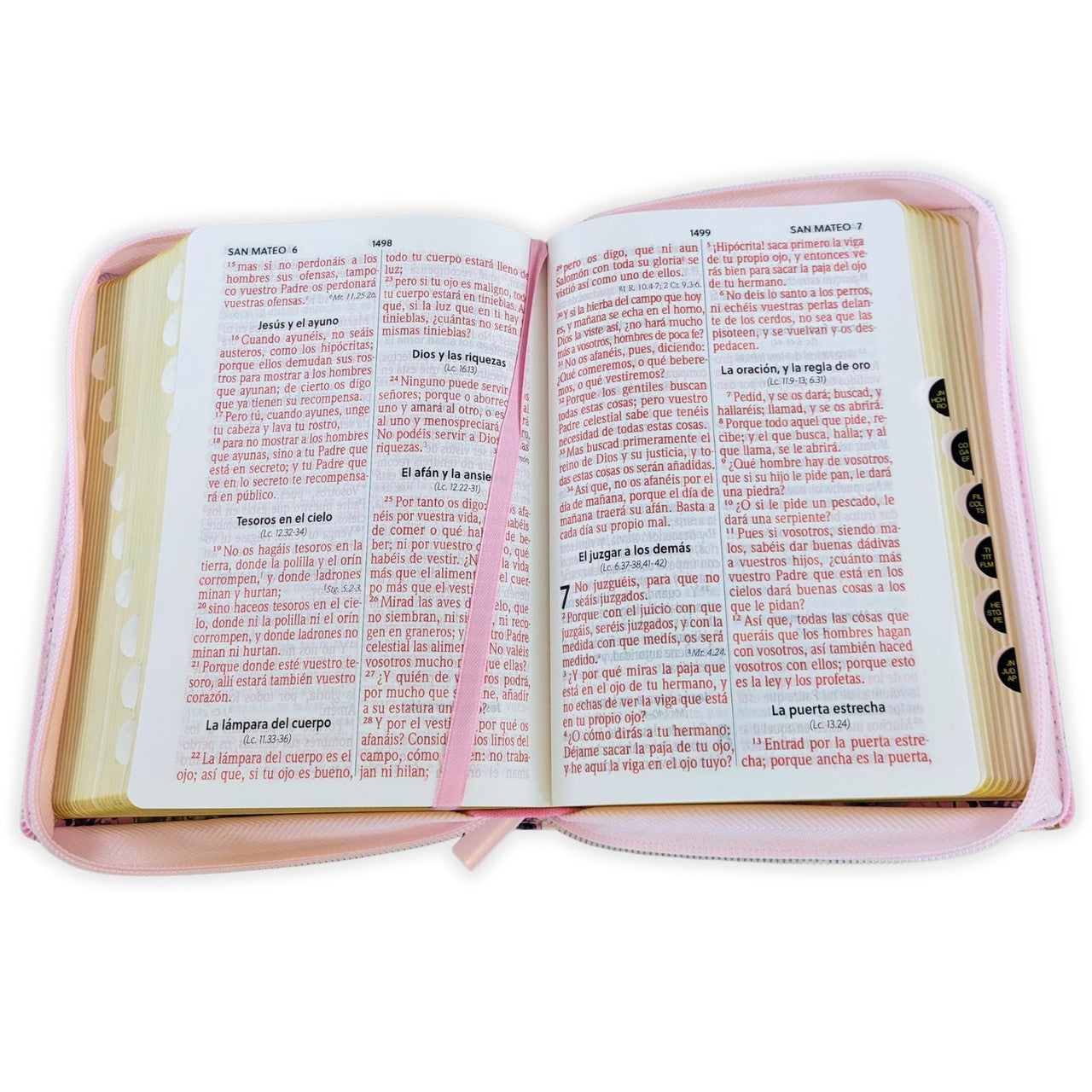 Santa Biblia Reina - Valera 1960 (Letra Grande, 11 Puntos, Tamano Manual y Cierre e Indice)