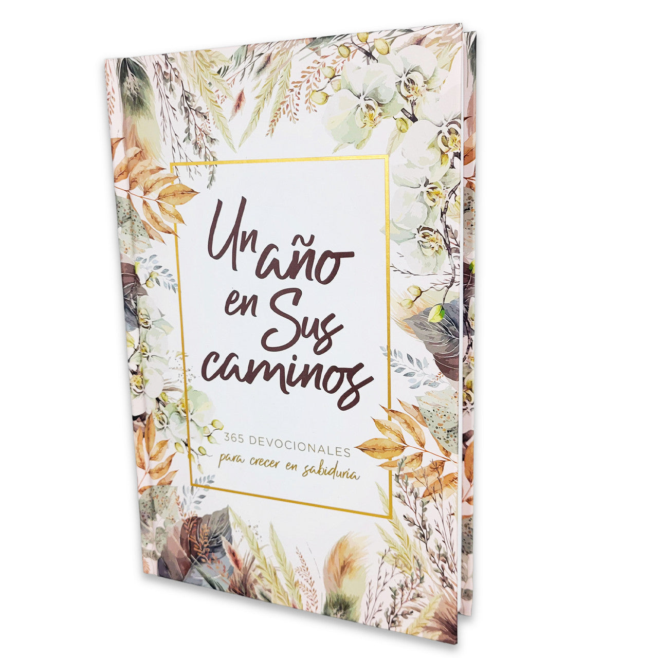 Un Año en Sus Caminos