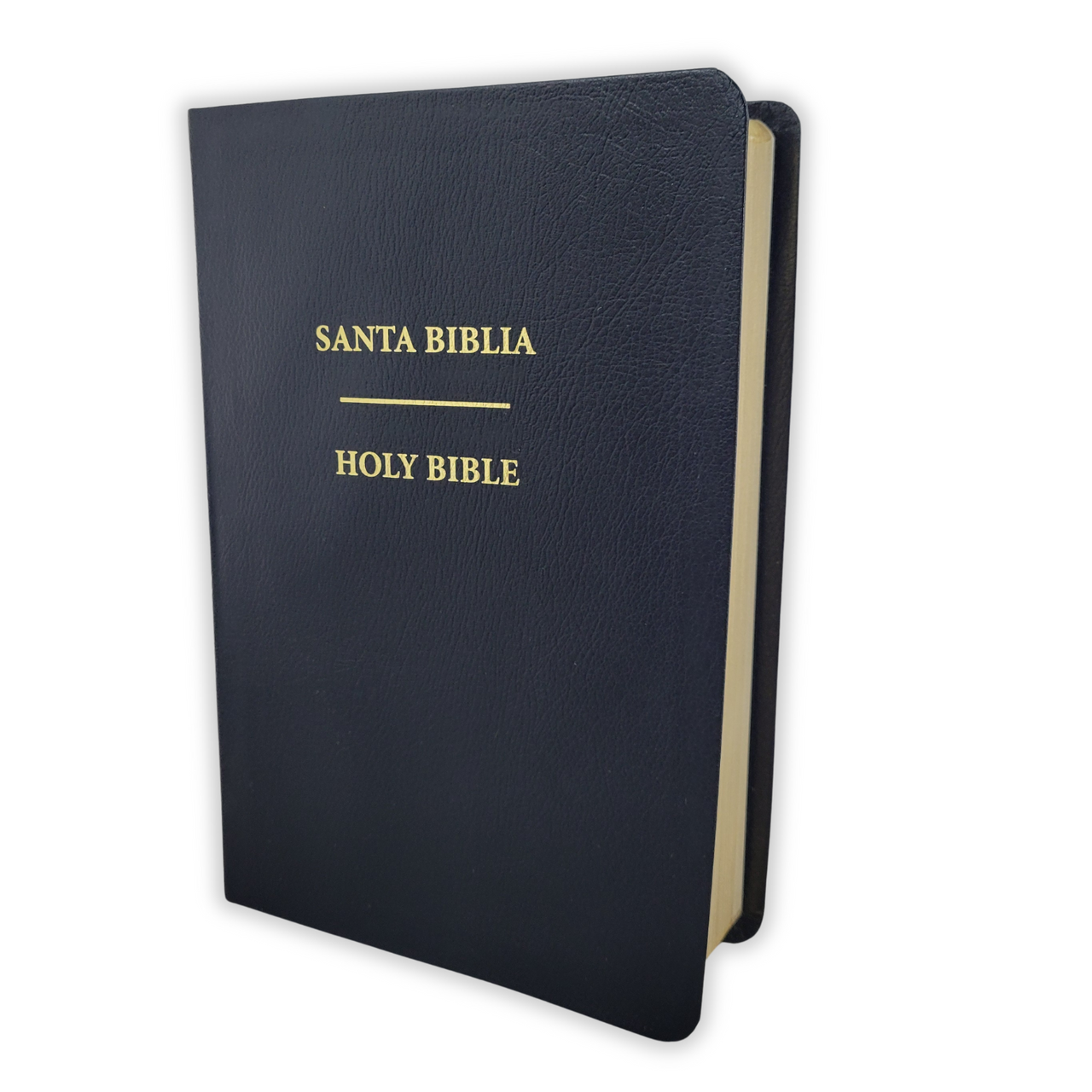 Santa Biblia Bilingue (Biblia Del Cantaro ,1602)