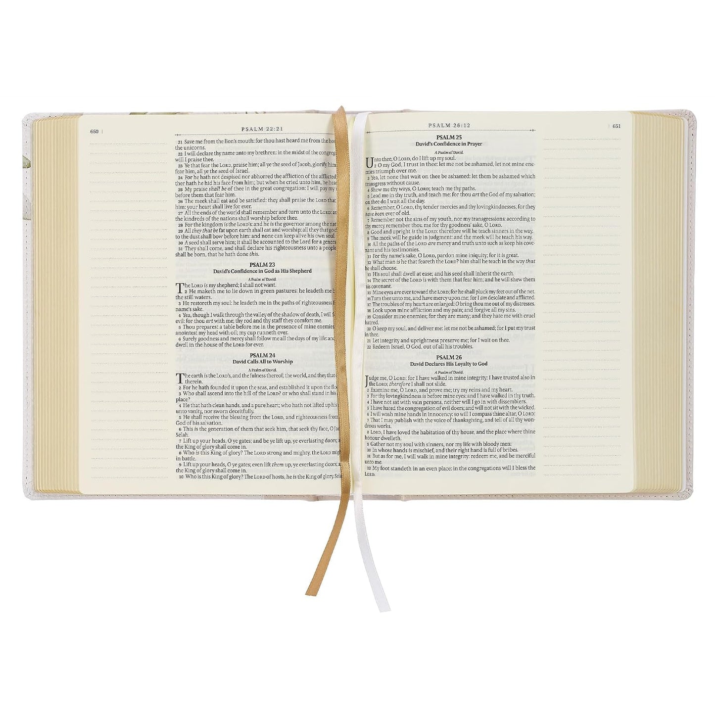 The Note - Taking Bible. King James Version