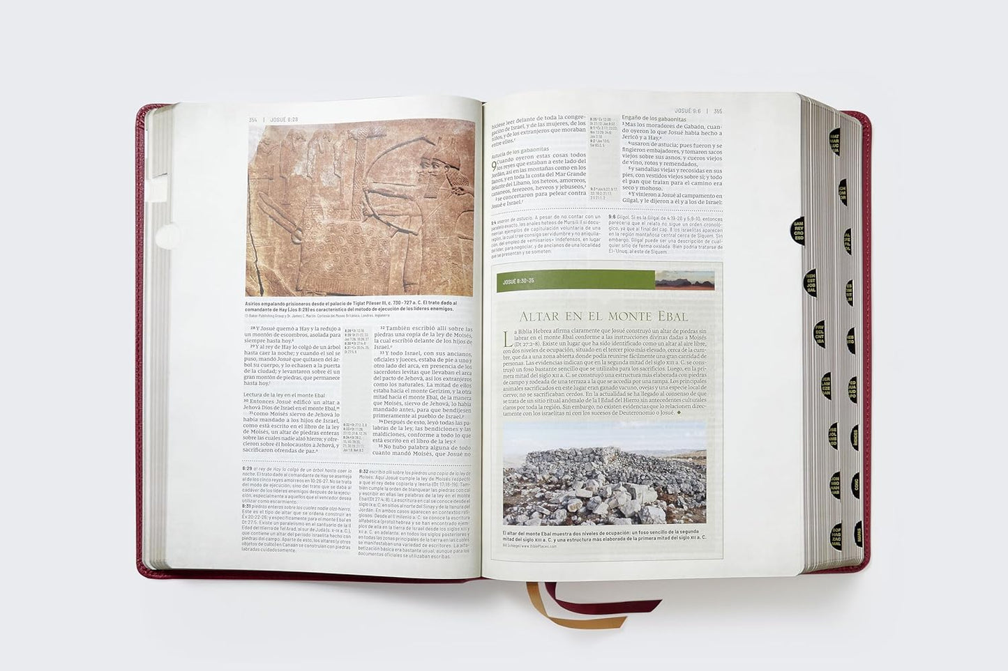 Biblia De Estudio Reina - Valera Revisada. Transfondo Cultural