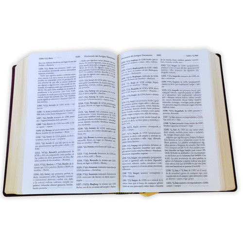 Biblia De Estudio Palabra Clave Reina -Valera 1960
