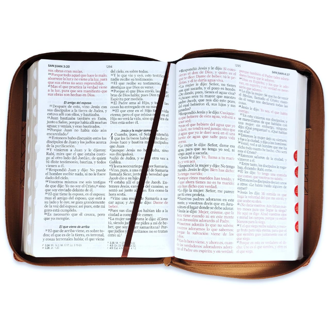 Santa Biblia Reina - Valera 1960 (Cierre, Indice, Tricolor, Cafe, Cafe, Cafe. Letra Gigante)