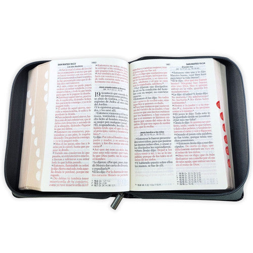 Santa Biblia Reina - Valera 1960 (Letra 11 Puntos, Forro, Indice)