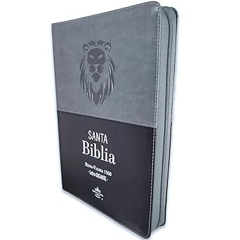 Santa Biblia Reina - Valera 1960 (Cierre, Tricolor, Indice. Letra Gigante