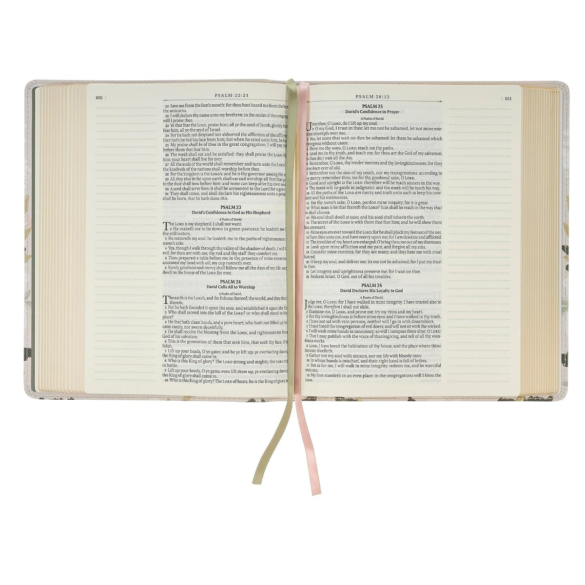 KJV Holy Bible, Note-taking Bible