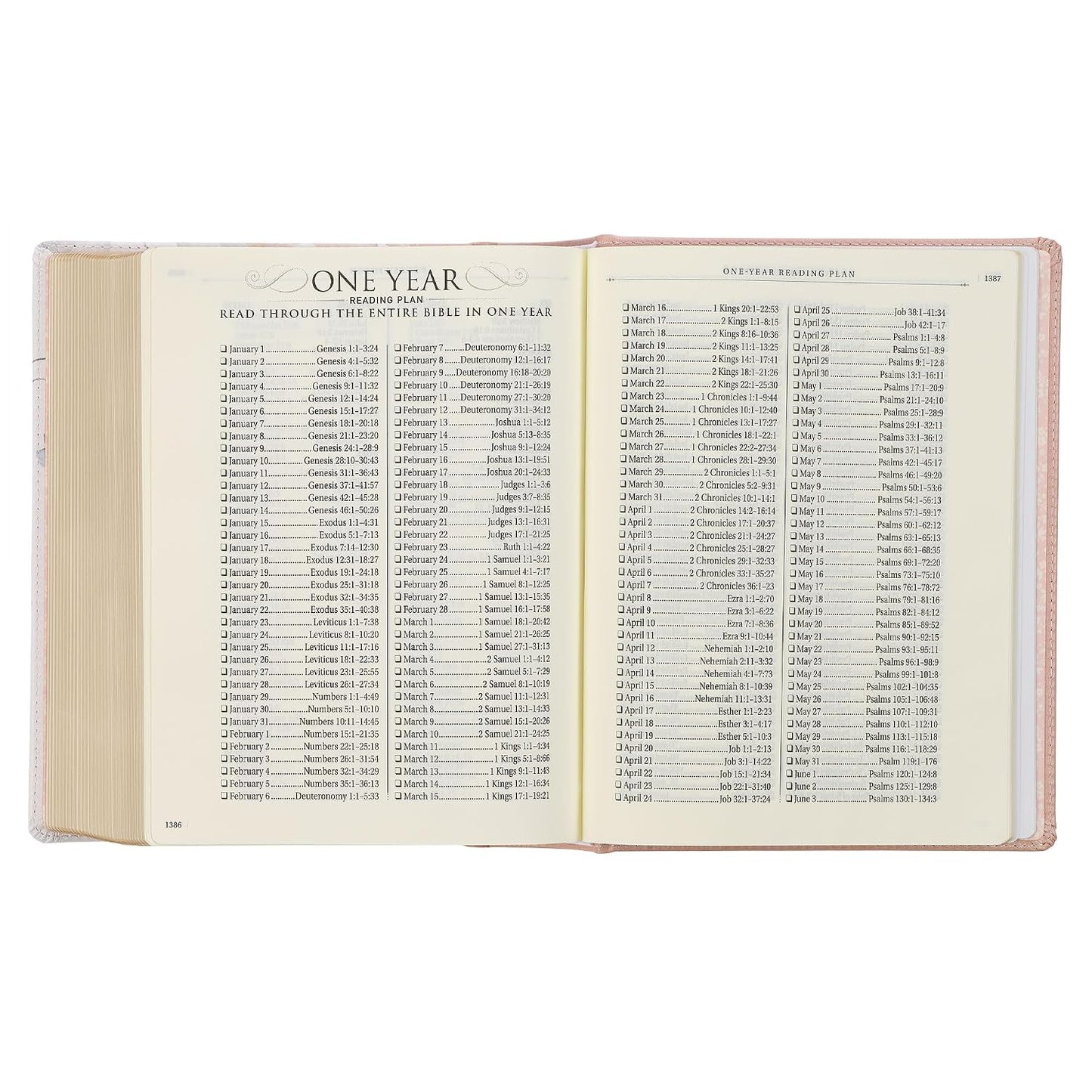 KJV Holy Bible, Note-taking Bible,