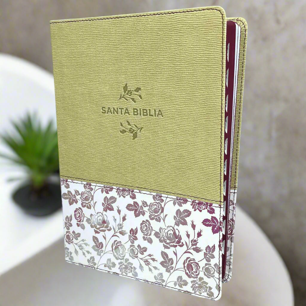 Santa Biblia Nueva Traduccion Viviente