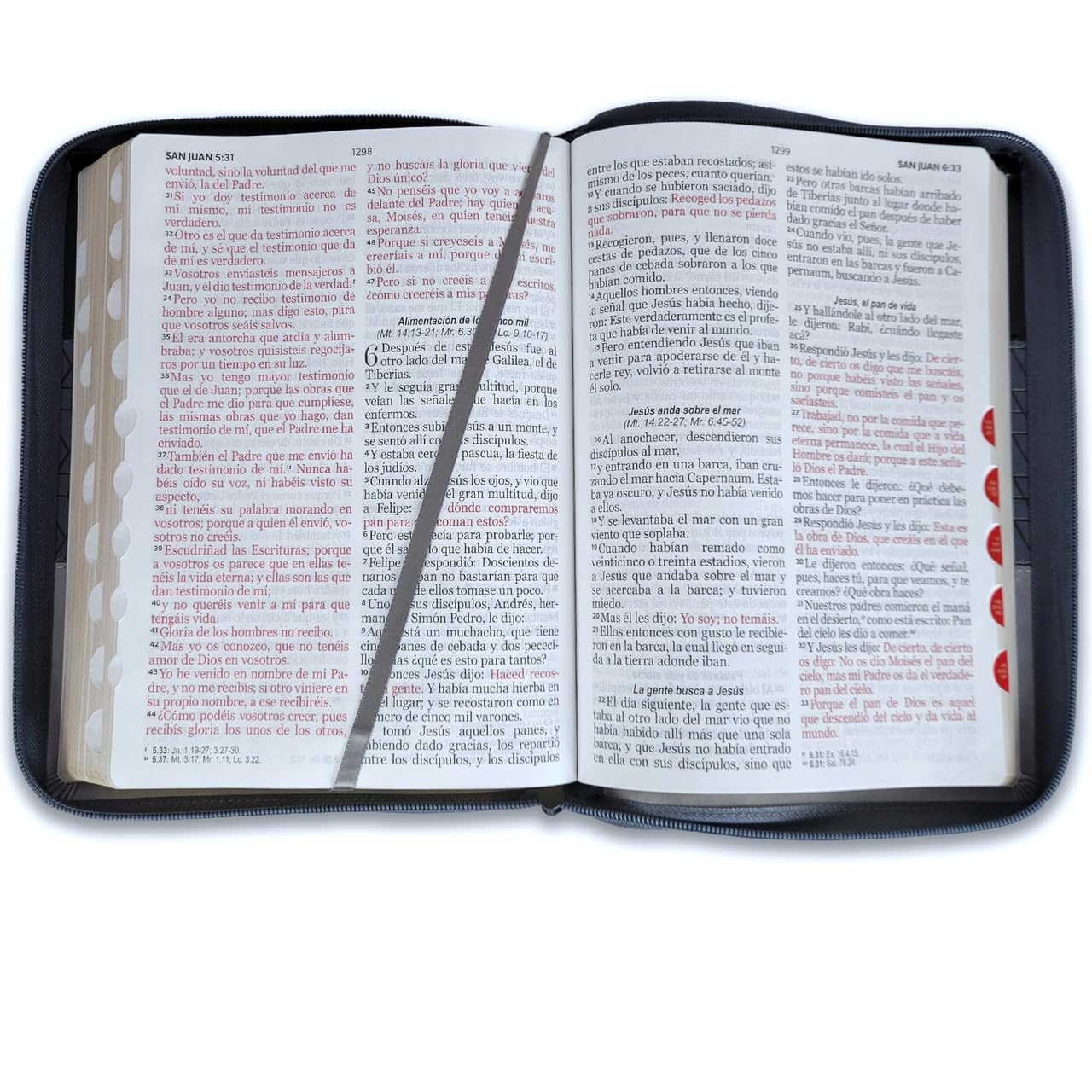 Santa Biblia Reina - Valera 1960 (Cierre, Indice, Tricolor, Negro/ Gris/ Gris