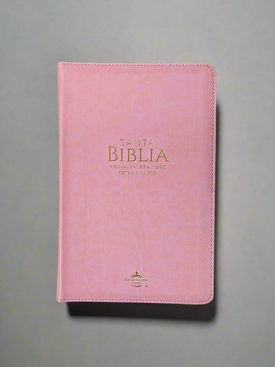 Santa Biblia Letra Grande RVR1960, Con Indice y Cierre, Piel (Clasica Rosa)