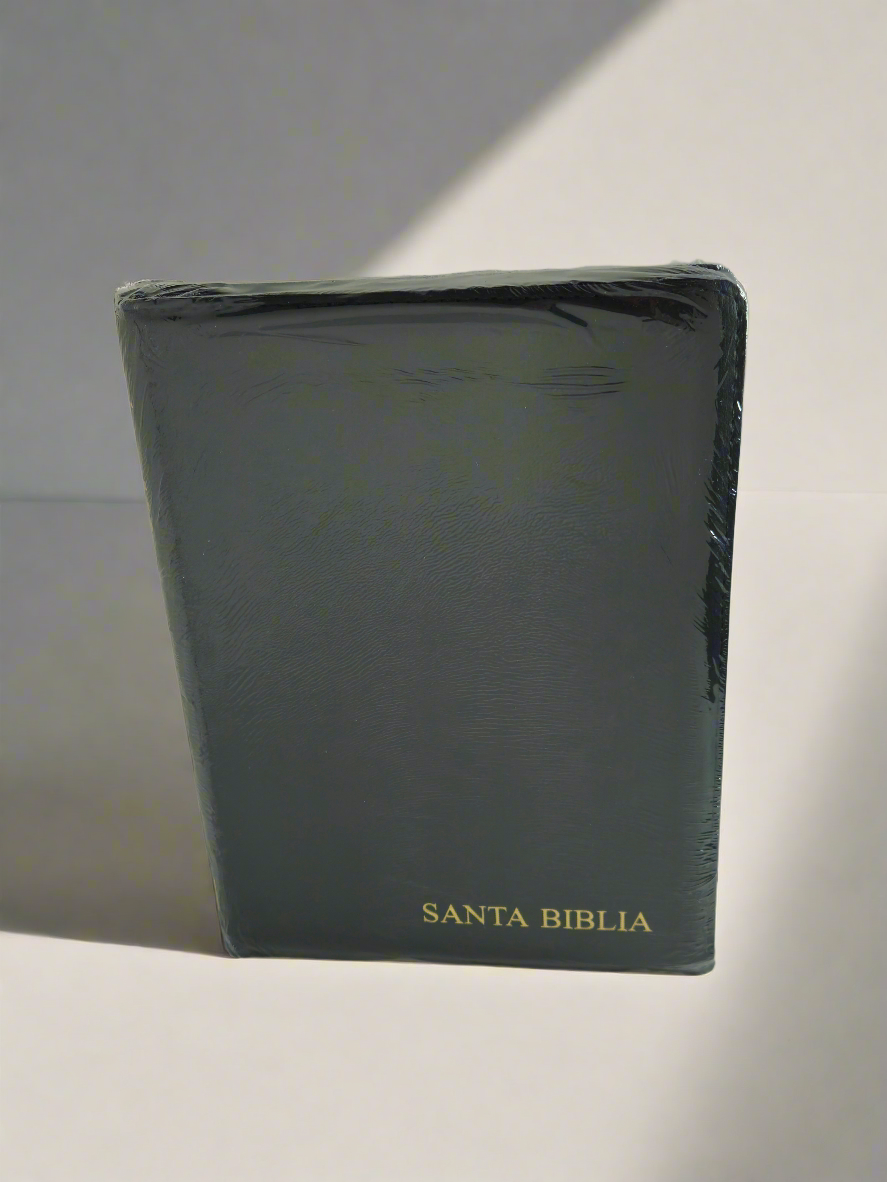 Santa Biblia Letra Gigante RVR60, Manual Con Indice y Cierre, Piel (Negro)
