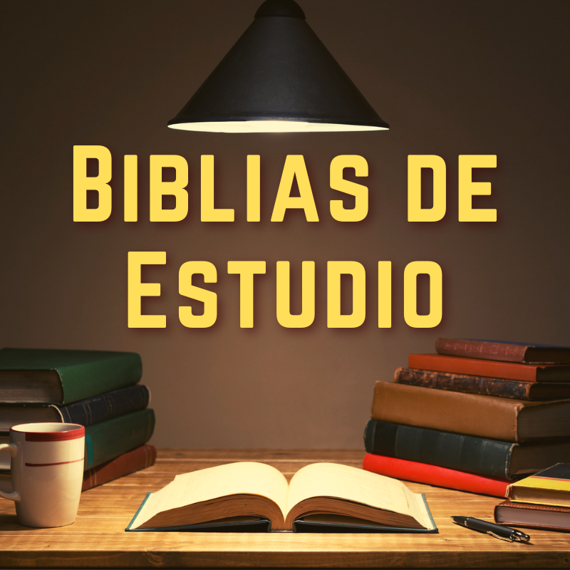 Biblias de Estudio