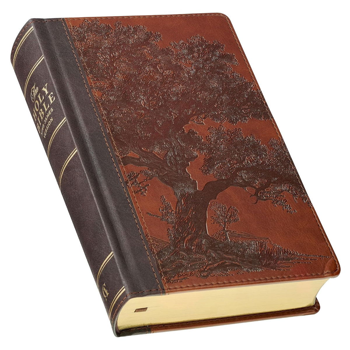 KJV Holy Bible, Giant Print Standard Size Red Letter Edition, Thumb Index Tabs & Ribbon Marker, King James Version