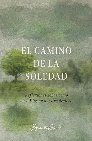 El Camino De La Soledad (Reflecciones Sobre Como Ver A Dios En Nuestro Desierto)