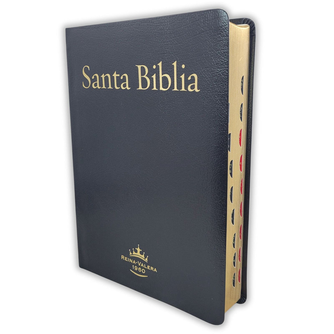 Santa Biblia - Reina Valera 1960 Letra Super Gigante (Indice, Piel)