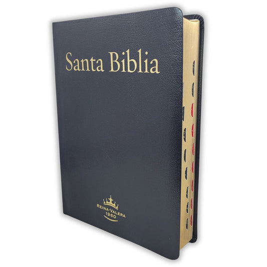 Santa Biblia - Reina Valera 1960 Letra Super Gigante (Indice, Piel)