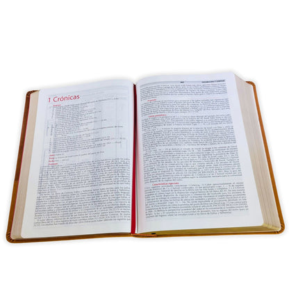 Santa Biblia De Estudio Vida Plena  Reina - Valera 1960 (Color Cafe, Actualizada y Ampliada)