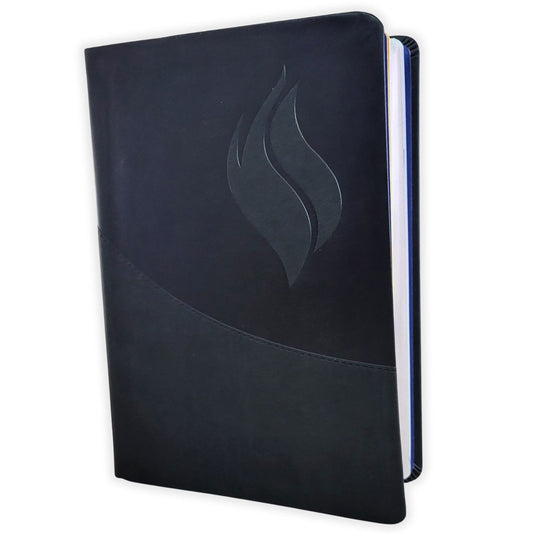 Santa Biblia De Estudio  Vida Plena Reina - Valera 1960 (Negra, Ampliada y Actualizada)