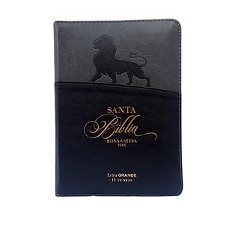 Santa Biblia Reina- Valera 1960 (Letra 11 Puntos, Indice, Forro, Manual)