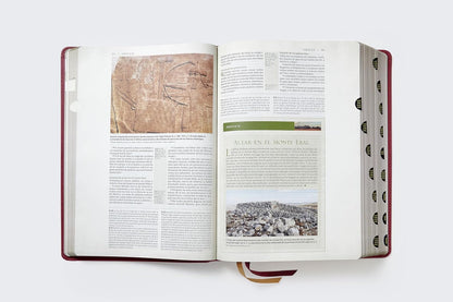 Biblia De Estudio Reina - Valera Revisada. Transfondo Cultural
