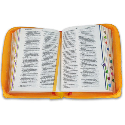 Santa Biblia Nino