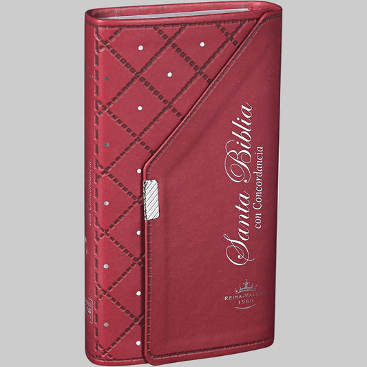 Santa Biblia Reina - Valera 1960 (Biblia Chequera)