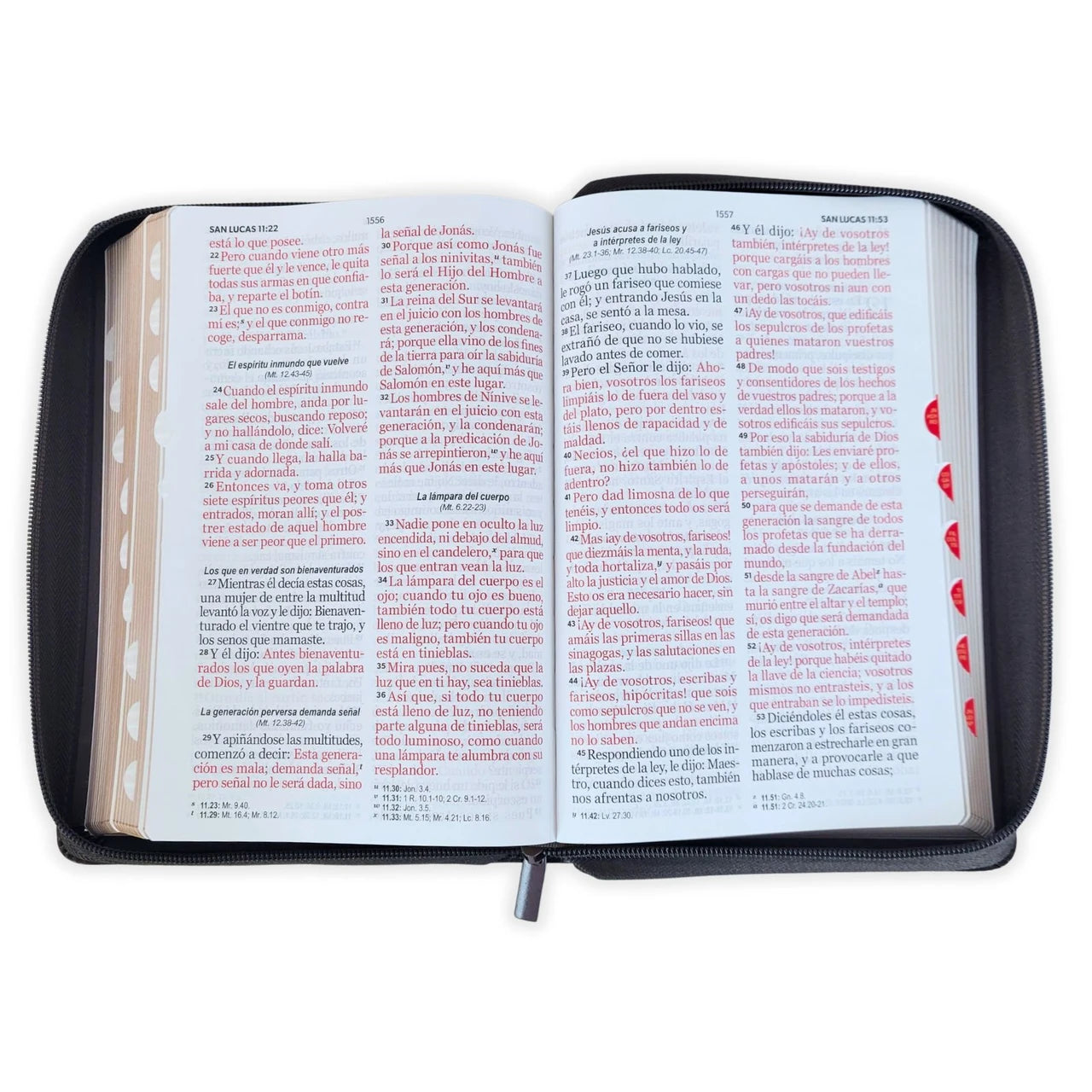 Santa Biblia Reina - Valera 1960 (Cierre, Indice, Arca De Pacto. Letra Gigante)