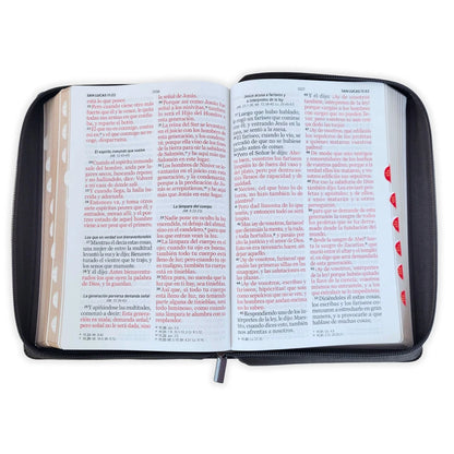 Santa Biblia Reina - Valera 1960 (Cierre, Indice, Arca De Pacto. Letra Gigante)