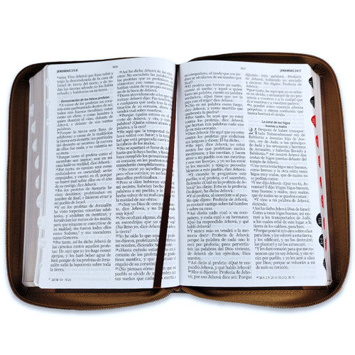 Santa Biblia Reina - Valera 1960 Cierre, Tricolor, Inspiracion, Indice