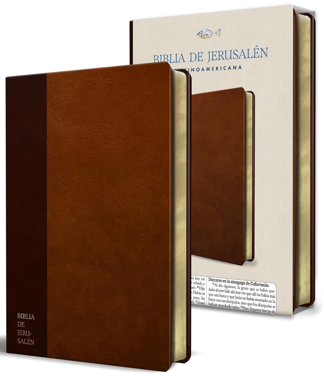 Biblia  Catolica Jerusalen Latino Americana
