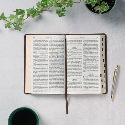 KJV Holy Bible, Giant Print Standard Size Faux Leather Red Letter Edition