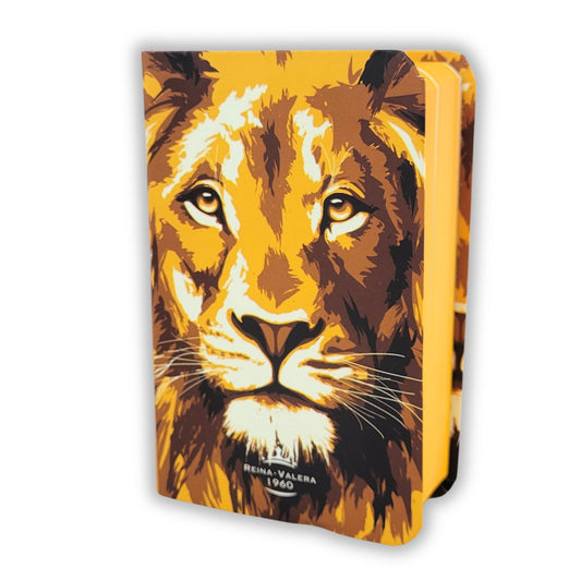 Santa Biblia Reina - Valera 1960 Mini Biblia, ninos