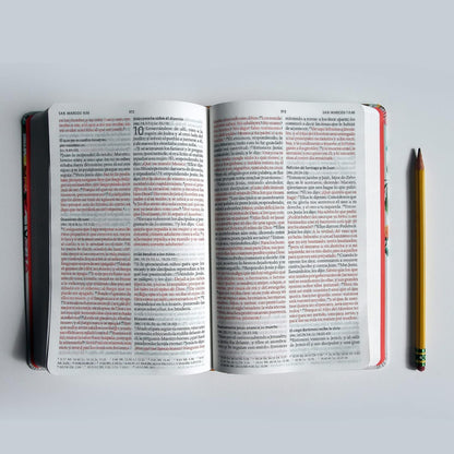 Santa Biblia Reina- Valera 1960 (Tata Dura)