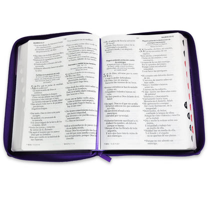 Santa Biblia Reina- Valera 1960 (Cierre e Indice, Letra Gigante)