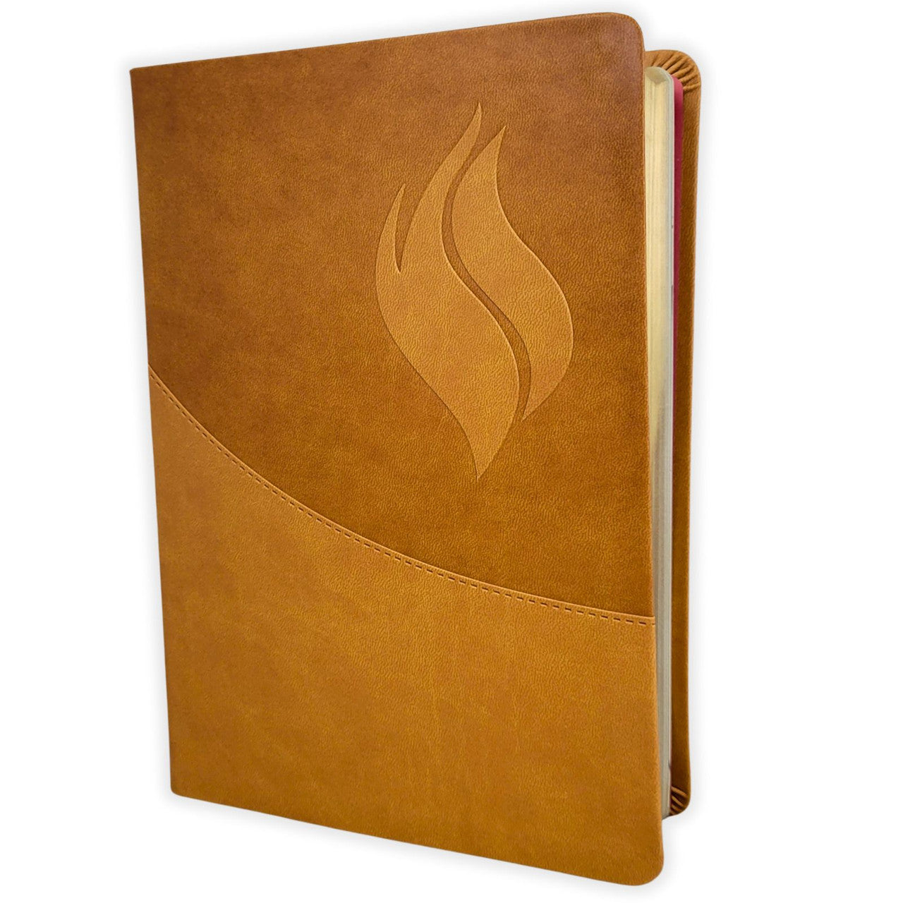Santa Biblia De Estudio Vida Plena  Reina - Valera 1960 (Color Cafe, Actualizada y Ampliada)