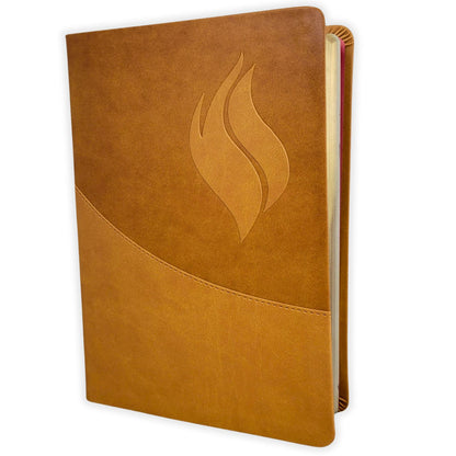 Santa Biblia De Estudio Vida Plena  Reina - Valera 1960 (Color Cafe, Actualizada y Ampliada)