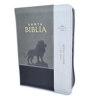 Santa Biblia Reina-Valera 1960 (Letra Grande, Tricolor, Gris, Gris, Gris, Cierre, Indice)