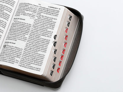 Santa Biblia Reina-Valera 1960 (Letra Grande, Tricolor, Gris, Gris, Gris, Cierre, Indice)