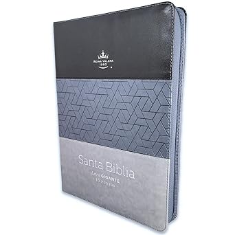 Santa Biblia Reina - Valera 1960 (Cierre, Indice, Tricolor, Negro/ Gris/ Gris