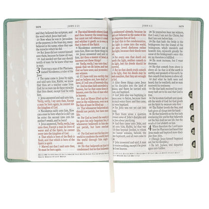 KJV Holy Bible, Giant Print Standard Size Red Letter Edition