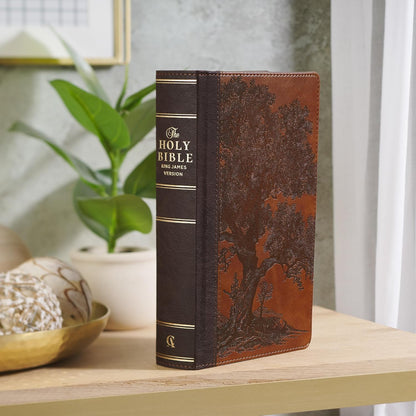 KJV Holy Bible, Giant Print Standard Size Red Letter Edition, Thumb Index Tabs & Ribbon Marker, King James Version