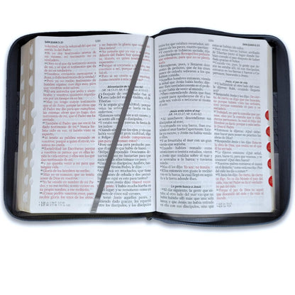 Santa Biblia Reina - Valera 1960 (Cierre, Indice, Tricolor, Negro/ Gris/ Gris