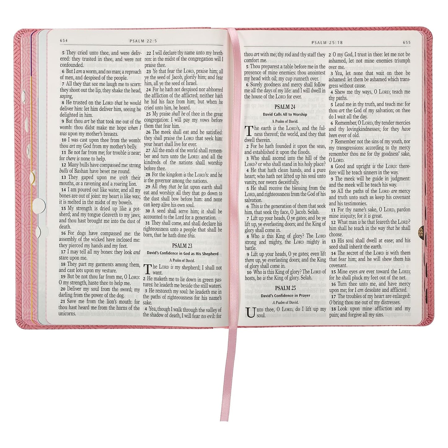 KJV Kids Bible