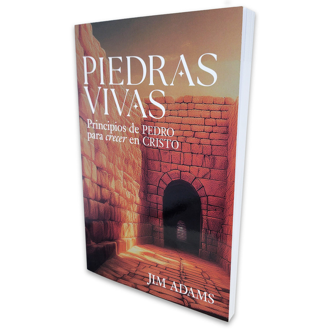 Piedras Vivas (Principios de Pedro Para Crecer En Cristo)