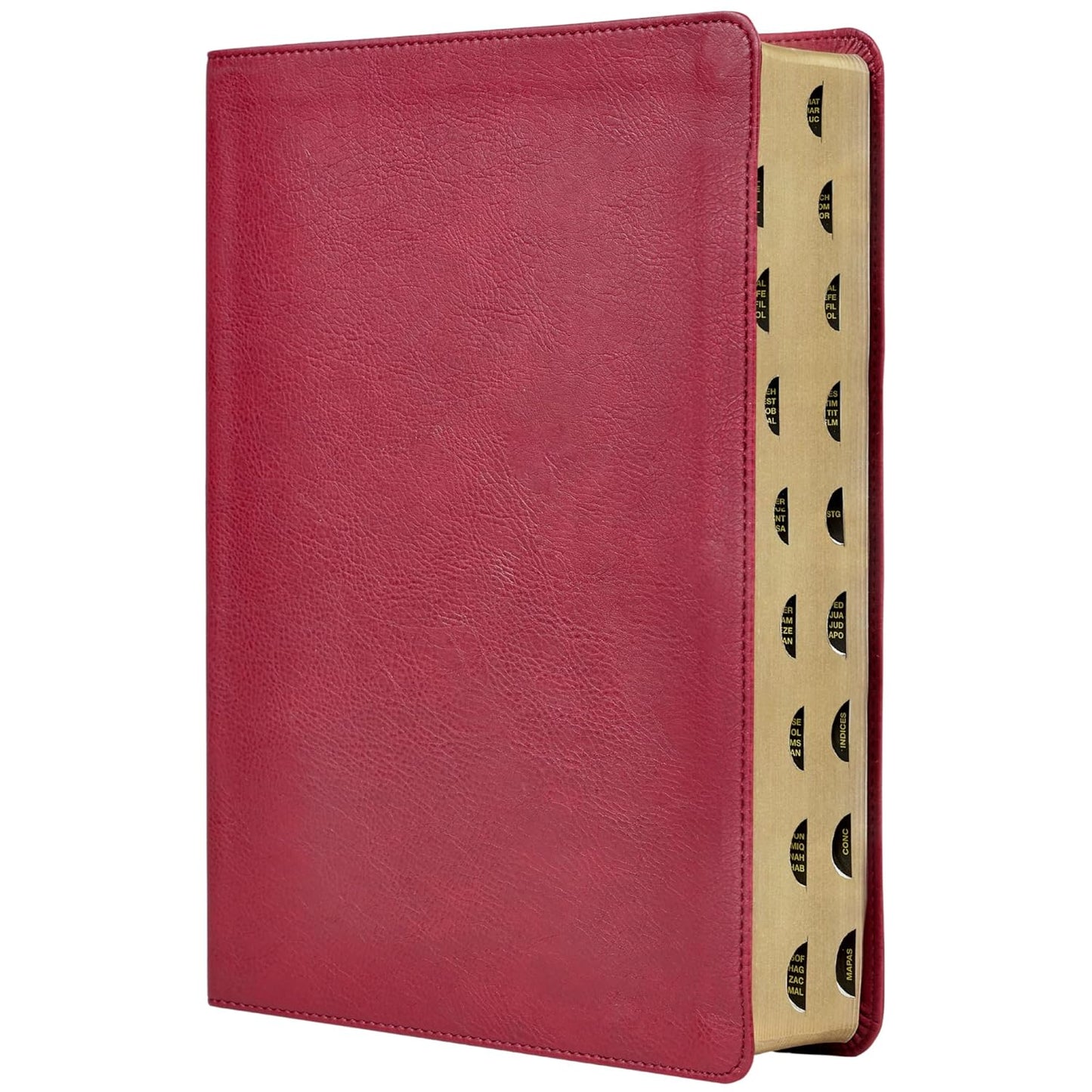 Biblia De Estudio Reina - Valera Revisada. Transfondo Cultural
