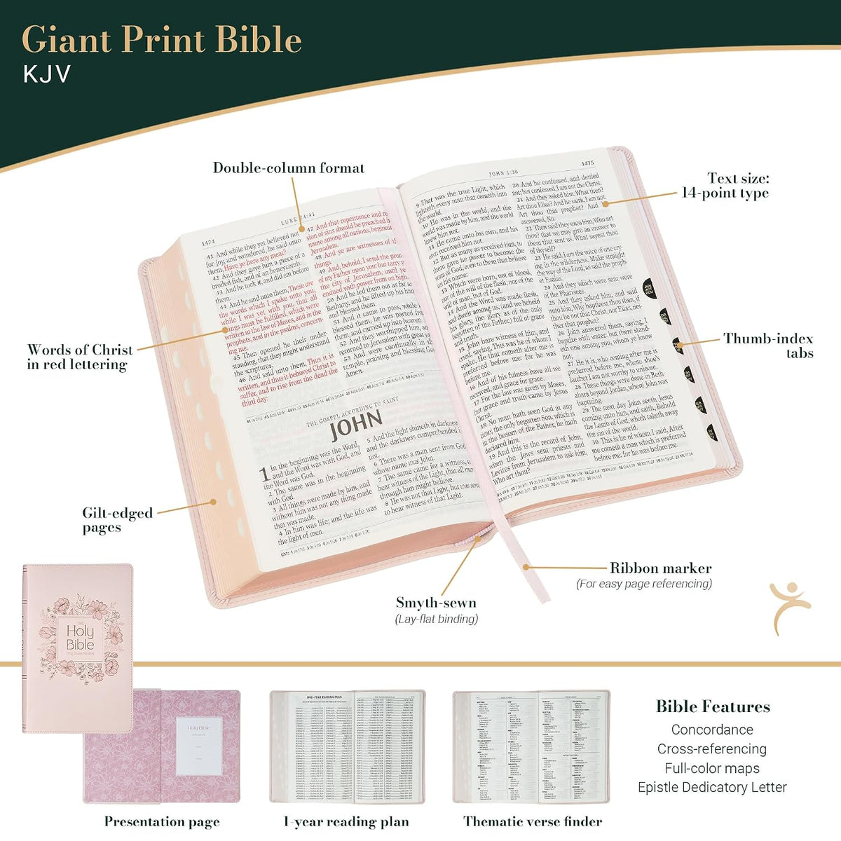 KJV Holy Bible, Giant Print Standard Size Red Letter Edition
