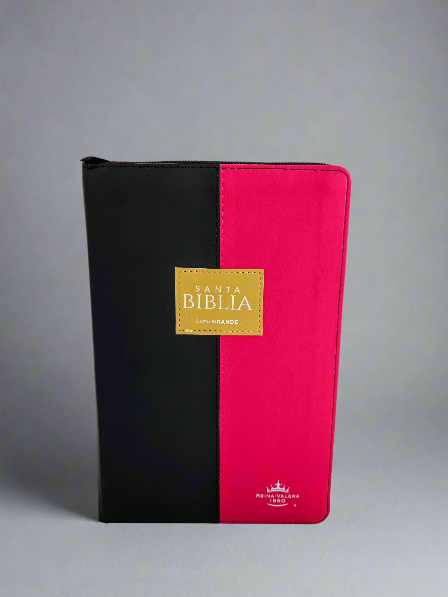 Santa Biblia Letra Grande RVR1960, Con Indice y Cierre, Piel (4 Rosa,gris,negro)