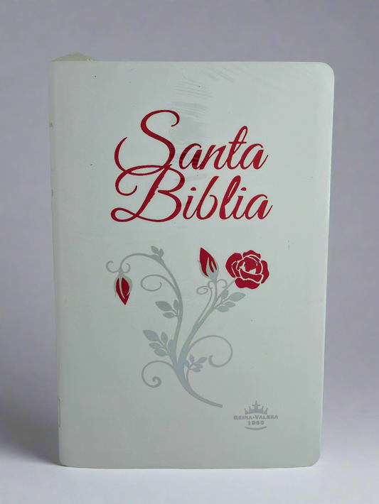 Santa Biblia RVR1960, Letra Grande, Con Indice, Piel