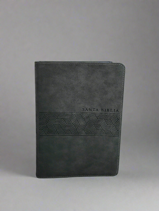 Santa Biblia NTV, Edicion Manual, Letra Gigante, Con Indice, Piel (Gris)