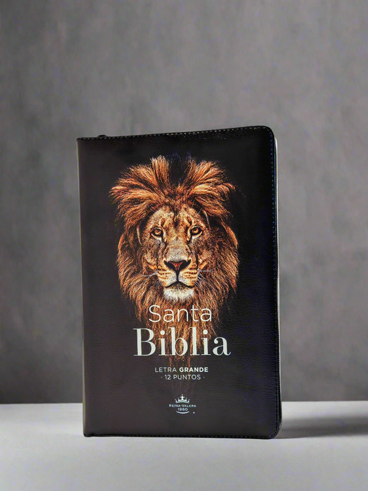 Santa Biblia Letra Grande RVR1960, Con Indice y Cierre, Piel (Leon)